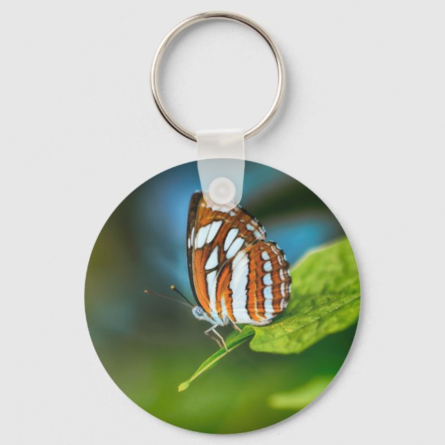 Weißes und orangefarbenes Schmetterling Schlüsselanhänger (Vorderseite)