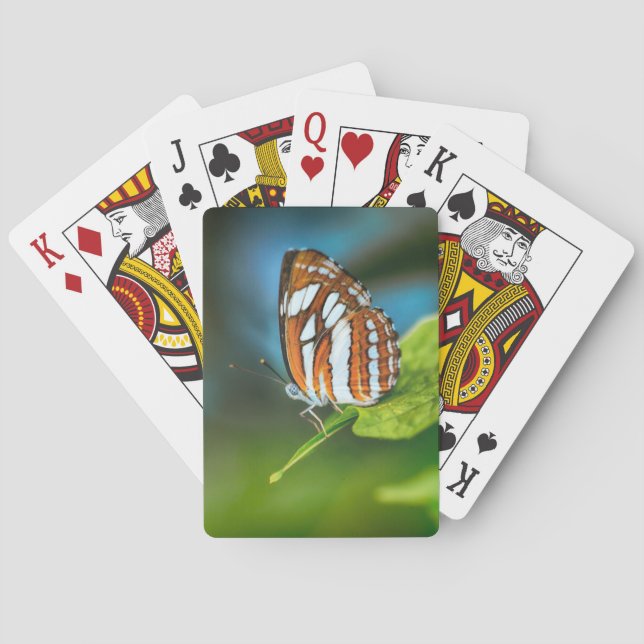Weißes und orangefarbenes Schmetterling Spielkarten (Rückseite)