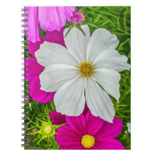 Weißes und rosa Blumennotizbuch Notizblock