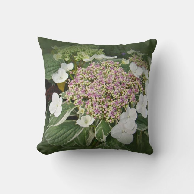 Weißes und rosa Spitze-Kappe Hydrangea Kissen (Vorderseite)