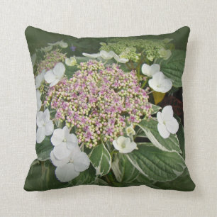 Weißes und rosa Spitze-Kappe Hydrangea Kissen