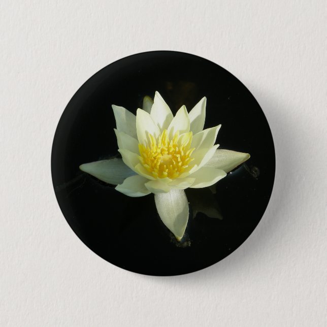 Weißes Wasser-Lilie/Lotus Button (Vorderseite)