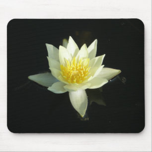 Weißes Wasser-Lilie/Lotus Mousepad