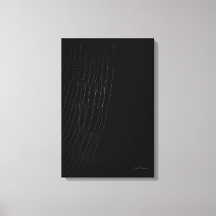 Weißes Web mit schwarzer Leinwand