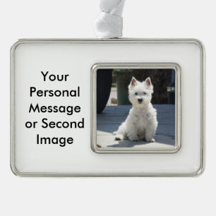 Weißes Westhochland Terrier, das auf Bürgersteig Rahmen-Ornament Silber
