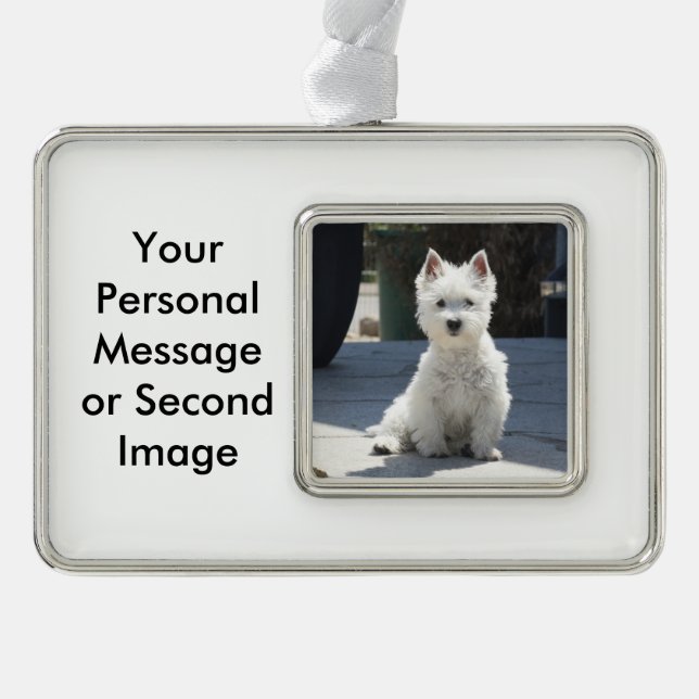 Weißes Westhochland Terrier, das auf Bürgersteig Rahmen-Ornament Silber (Vorderseite)