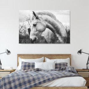 Weißes Wild Spirited Horse Schwarz und Weiß Leinwanddruck