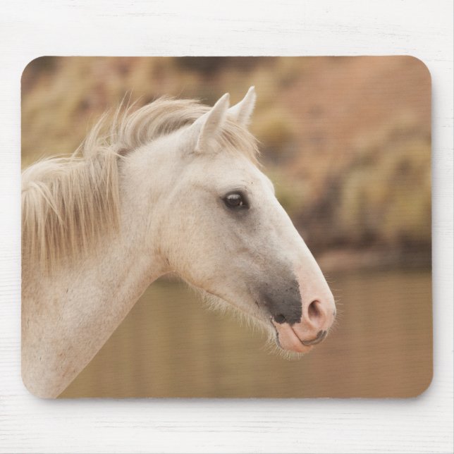 Weißes WildPferd Mousepad (Vorne)