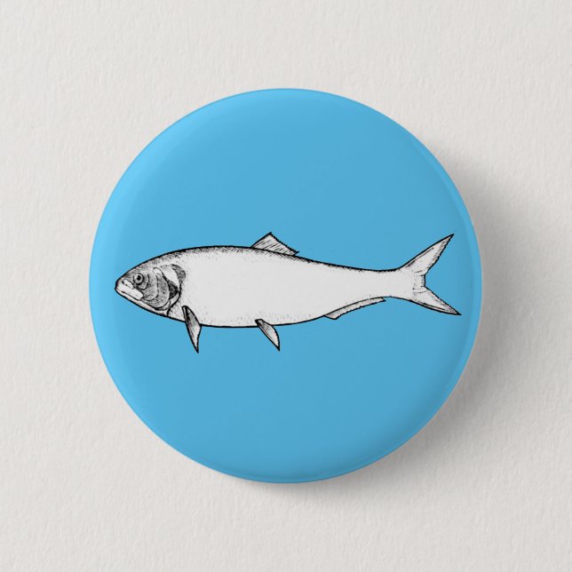 Weißfisch Button (Vorderseite)