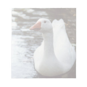 Weißgans Notizblock