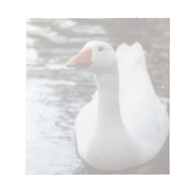 Weißgans Notizblock (Vorderseite)