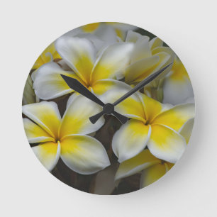 Weißgelbe Plumeria Runde Wanduhr