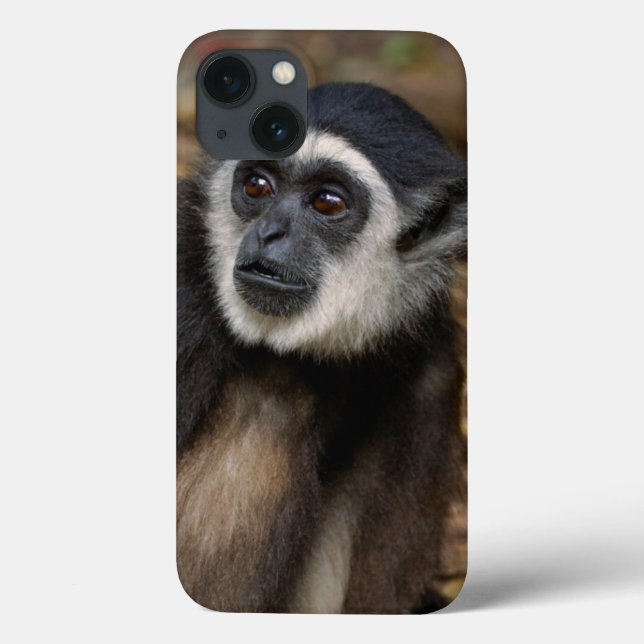 Weißhandgeschmack (Hylobates Lar), Monkeyland Case-Mate iPhone Hülle (Rückseite)