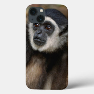 Weißhandgibbon (Hylobates Lar), Monkeyland Case-Mate iPhone Hülle