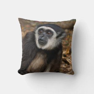Weißhandgibbon (Hylobates Lar), Monkeyland Kissen
