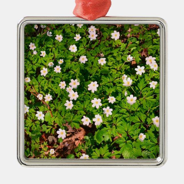 Weißholz Anemone Frühlingsblumen Ornament Aus Metall (Vorne)