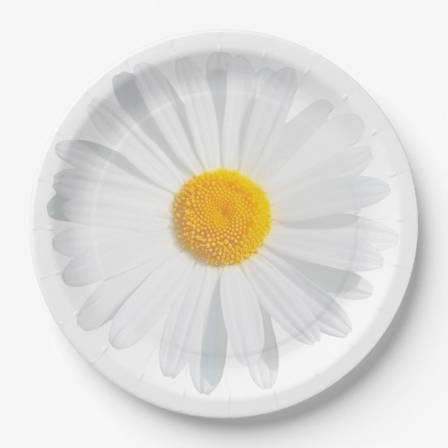 Weißkäfer Pappteller (Vorderseite)
