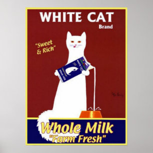 Weißkatzenbrand ganz Milch Poster