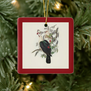 Weißkopffruchttaube, Vintag Keramikornament