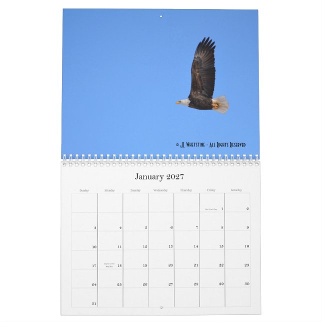 Weißkopfseeadler 2015 kalender (Jan 2027)