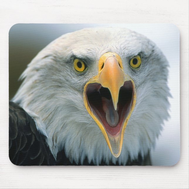 Weißkopfseeadler #2-Mousepad Mousepad (Vorne)