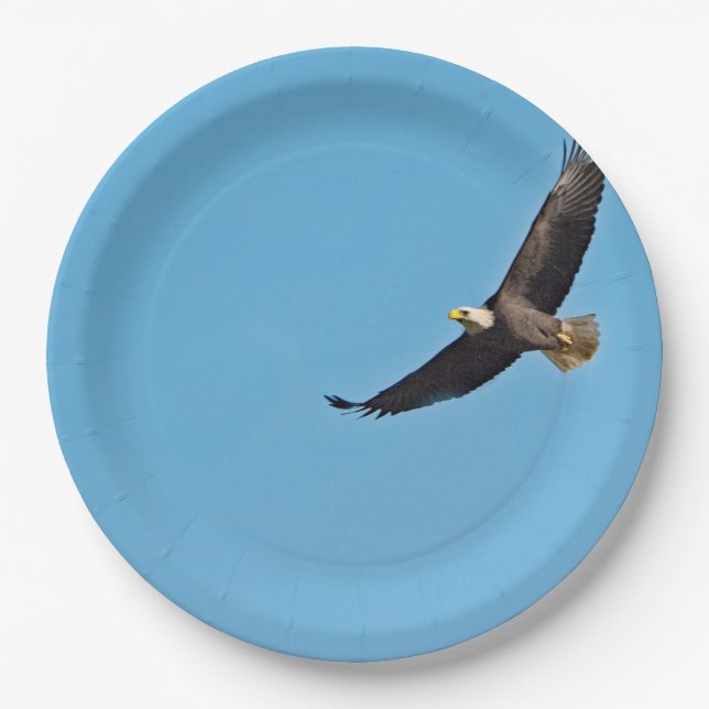 Weißkopfseeadler 7 pappteller (Vorderseite)