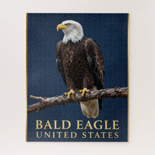 🦅 Weißkopfseeadler Amerikanische Wildnis