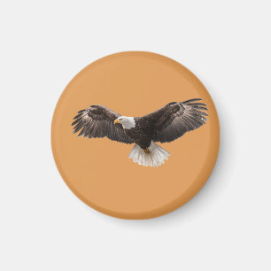 Weißkopfseeadler-Anstecknadel, häufig verkauft al Magnet