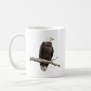 Weißkopfseeadler auf einem Ast sitzend Kaffeetasse