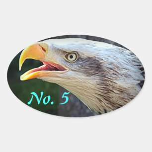 Weißkopfseeadler-Behälter-Aufkleber Ovaler Aufkleber