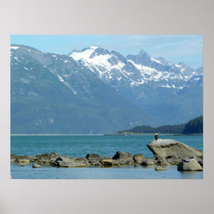 Weißkopfseeadler bei Skagway Alaska Poster