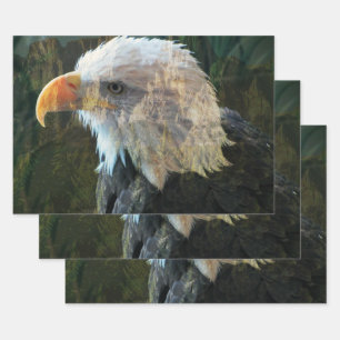 Weißkopfseeadler-Berg Geschenkpapier Set