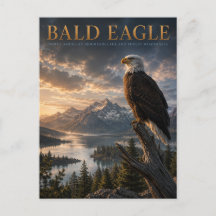 Weißkopfseeadler-Bergsee-TIERE