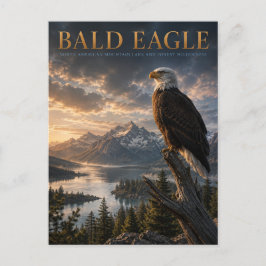 Weißkopfseeadler-Bergsee-TIERE Postkarte