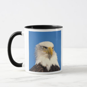 Weißkopfseeadler Blick Tasse