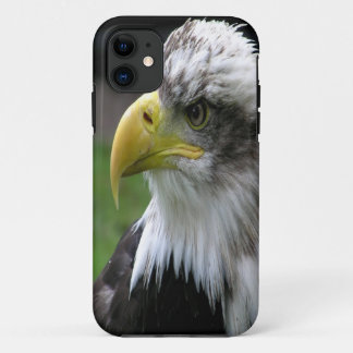 Weißkopfseeadler Case-Mate iPhone Hülle