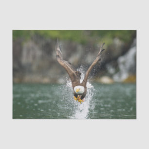 Weißkopfseeadler der große Fang Seidenpapier