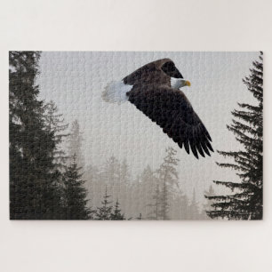Weißkopfseeadler durch Nebel fliegend