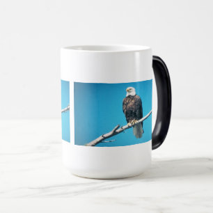 Weißkopfseeadler-Farben-Morphing-Tasse Verwandlungstasse