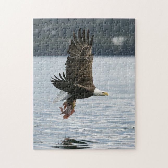 Weißkopfseeadler-Fisch-Wiederherstellung (Vertikal)