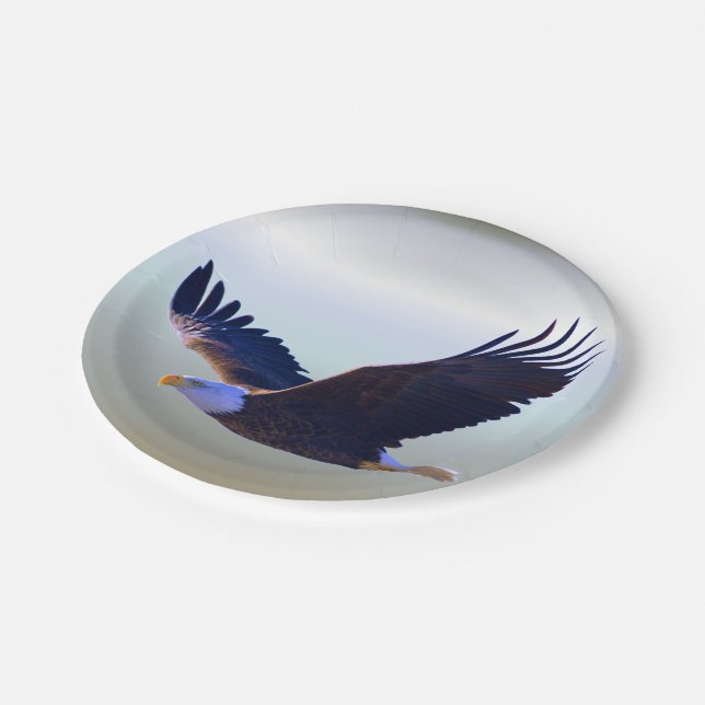 Weißkopfseeadler-Fliegen Pappteller (Schrägansicht)