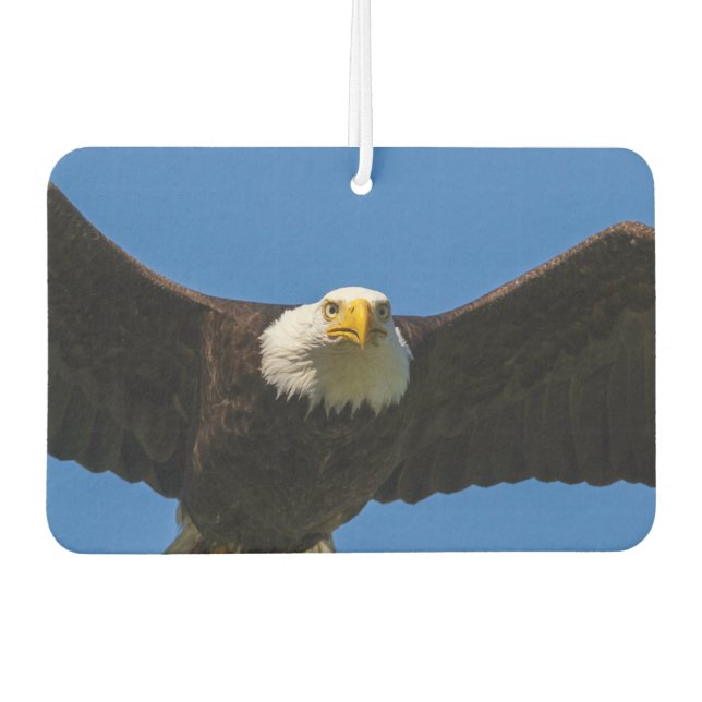 Weißkopfseeadler Flug nah Autolufterfrischer (Vorderseite)