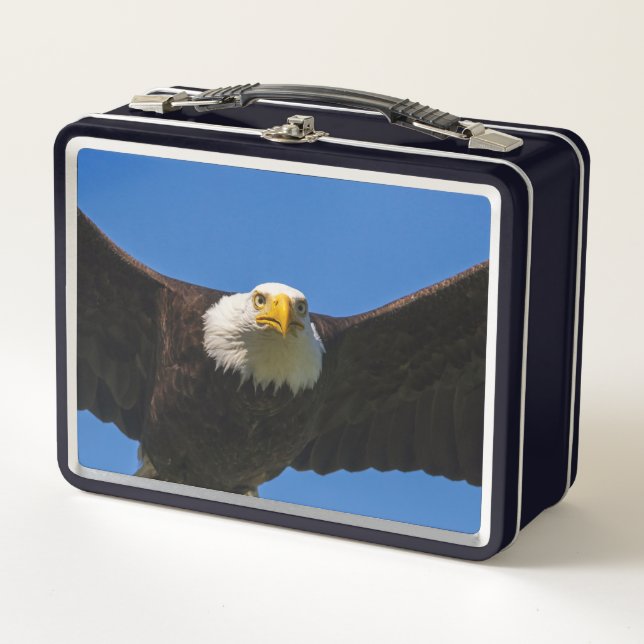 Weißkopfseeadler Flug nah Metall Brotdose (Vorderseite)
