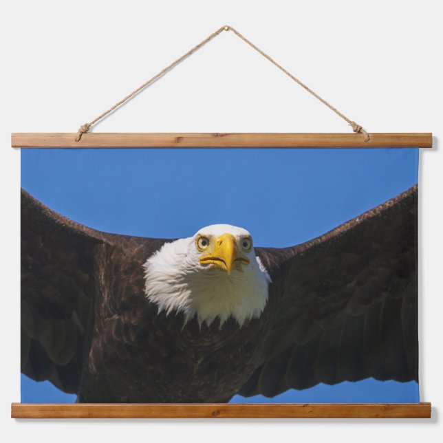 Weißkopfseeadler Flug nah Wandteppich Mit Holzrahmen (Vorne)