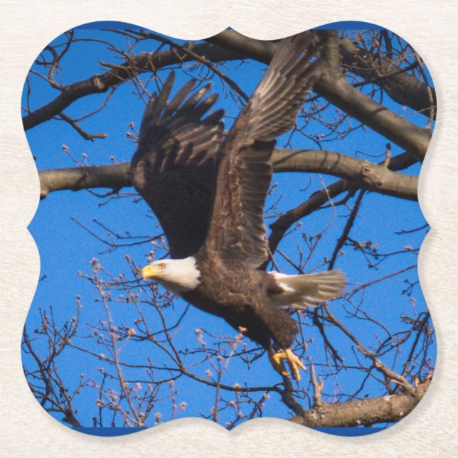 Weißkopfseeadler Flug Untersetzer (Vorderseite)