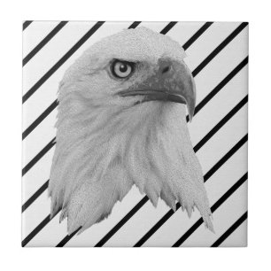 Weißkopfseeadler-Gesicht Ölfarbe, Fliese
