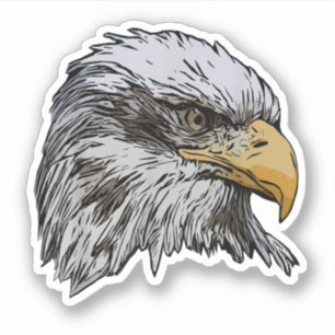 Weißkopfseeadler Grafik Amerikanisches Nationales Aufkleber
