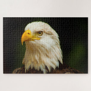 Weißkopfseeadler Greifvogel. Puzzle
