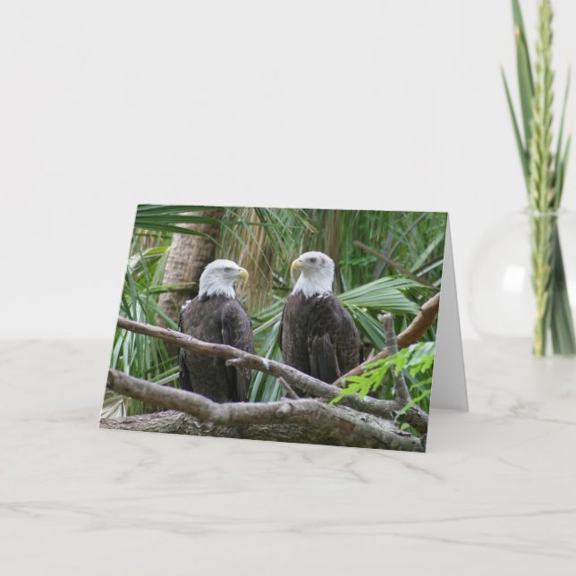 Weißkopfseeadler-Gruß-Karte Karte (Vorderseite)