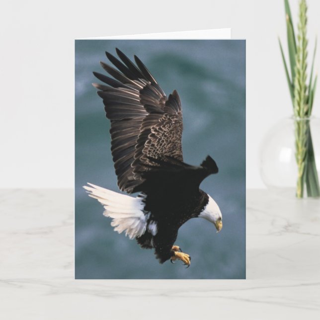 Weißkopfseeadler-Gruß-Karte Karte (Vorderseite)